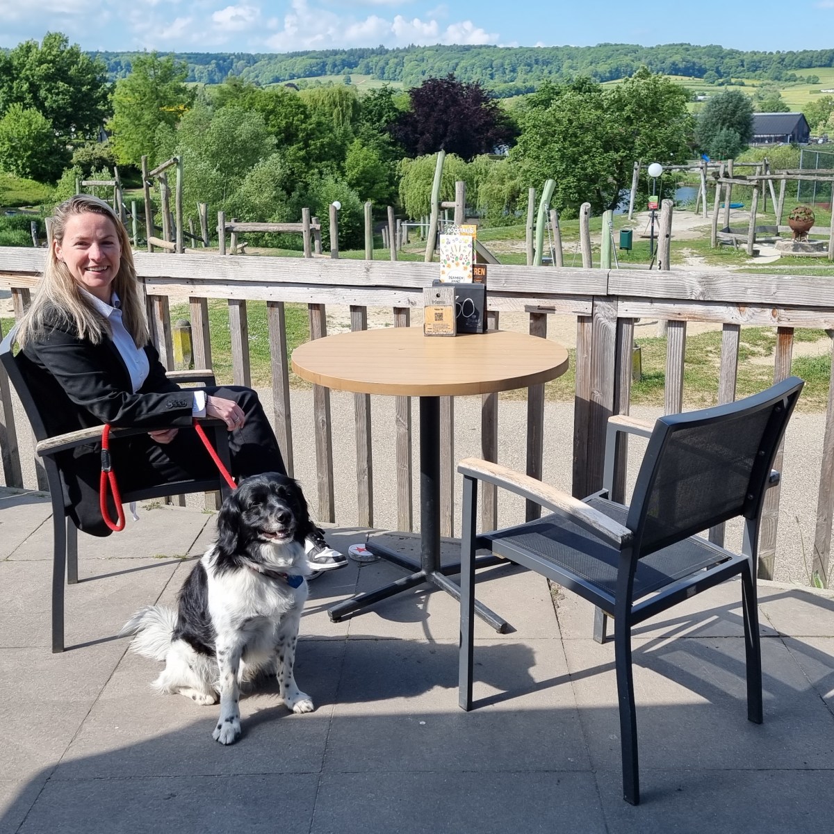 Overzicht vakantiehuizen🏡🐕