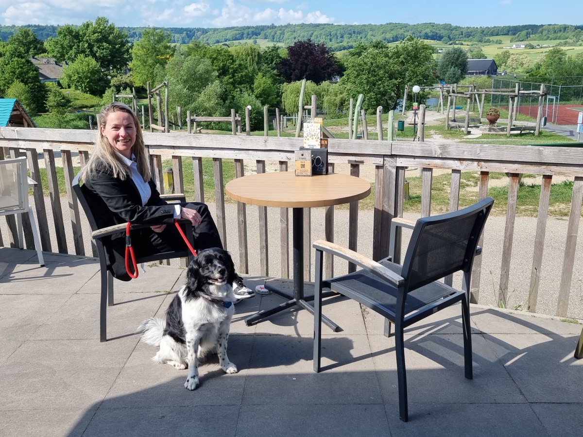 Overzicht vakantiehuizen🏡🐕