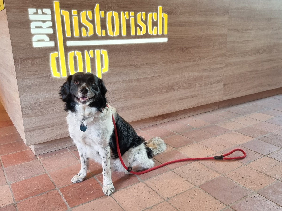 Dagje geschiedenis in Brabant