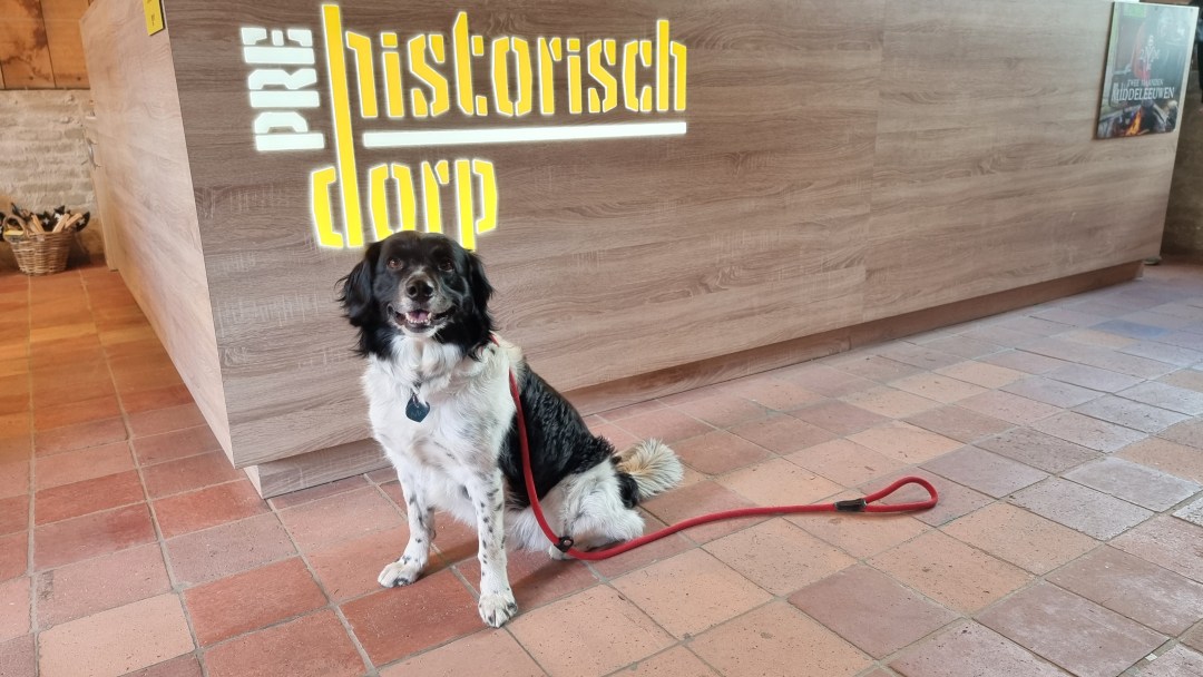 prehistorisch dorp 2025