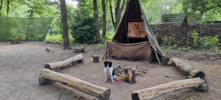 prehistorisch dorp eindhoven