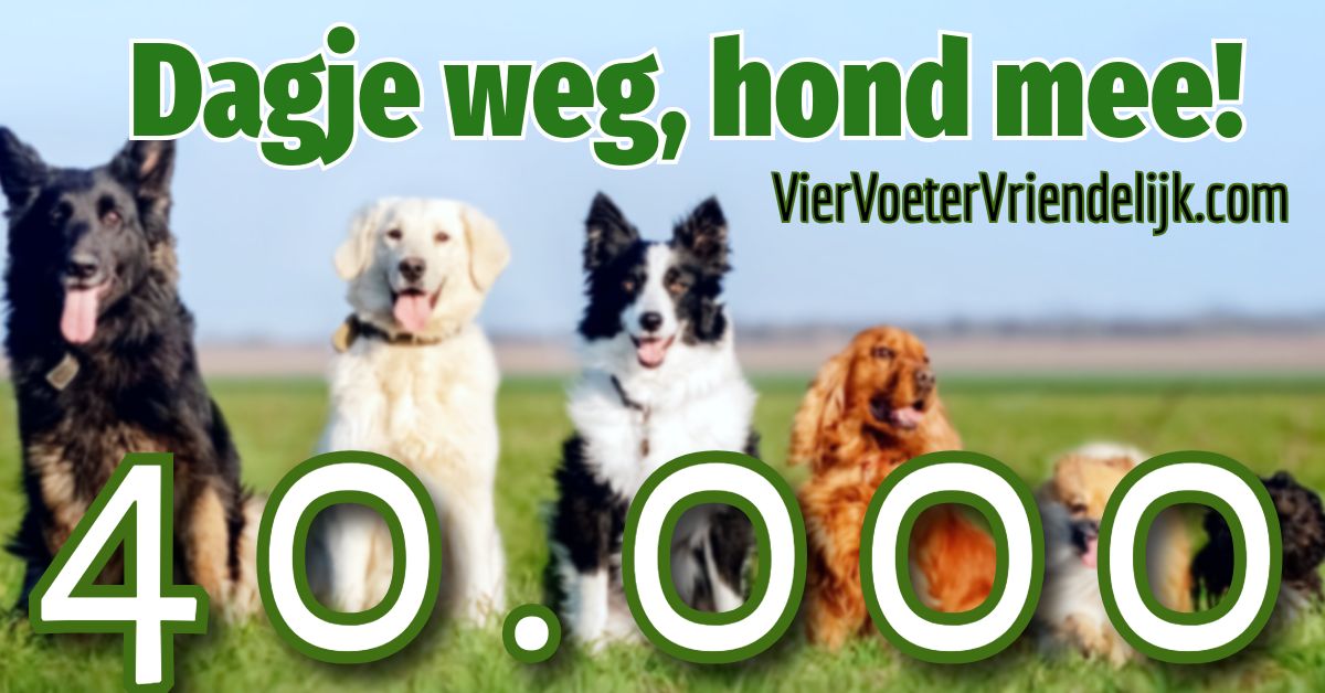 facebook dagje weg hond mee