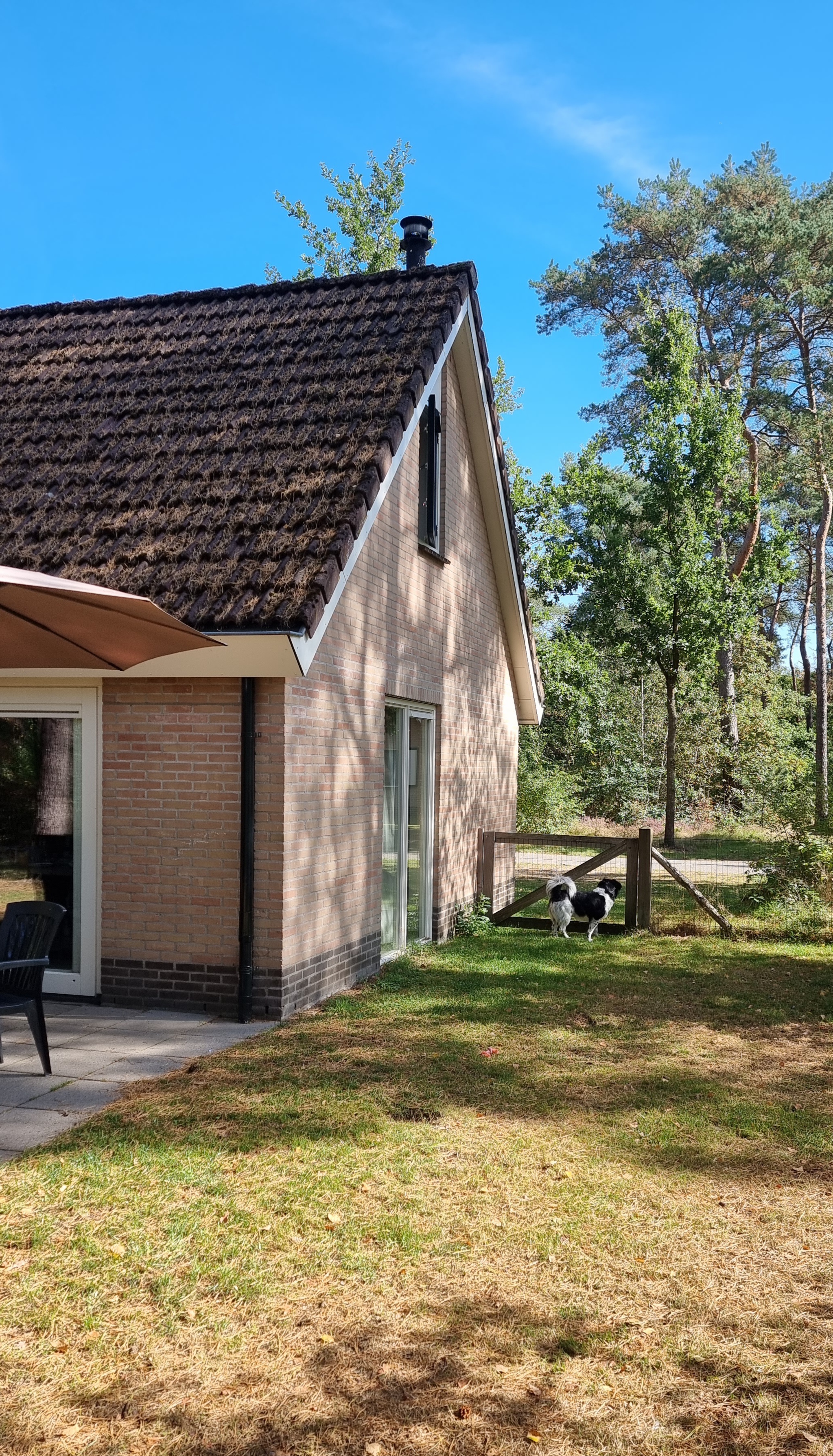 landal twenhaarsveld