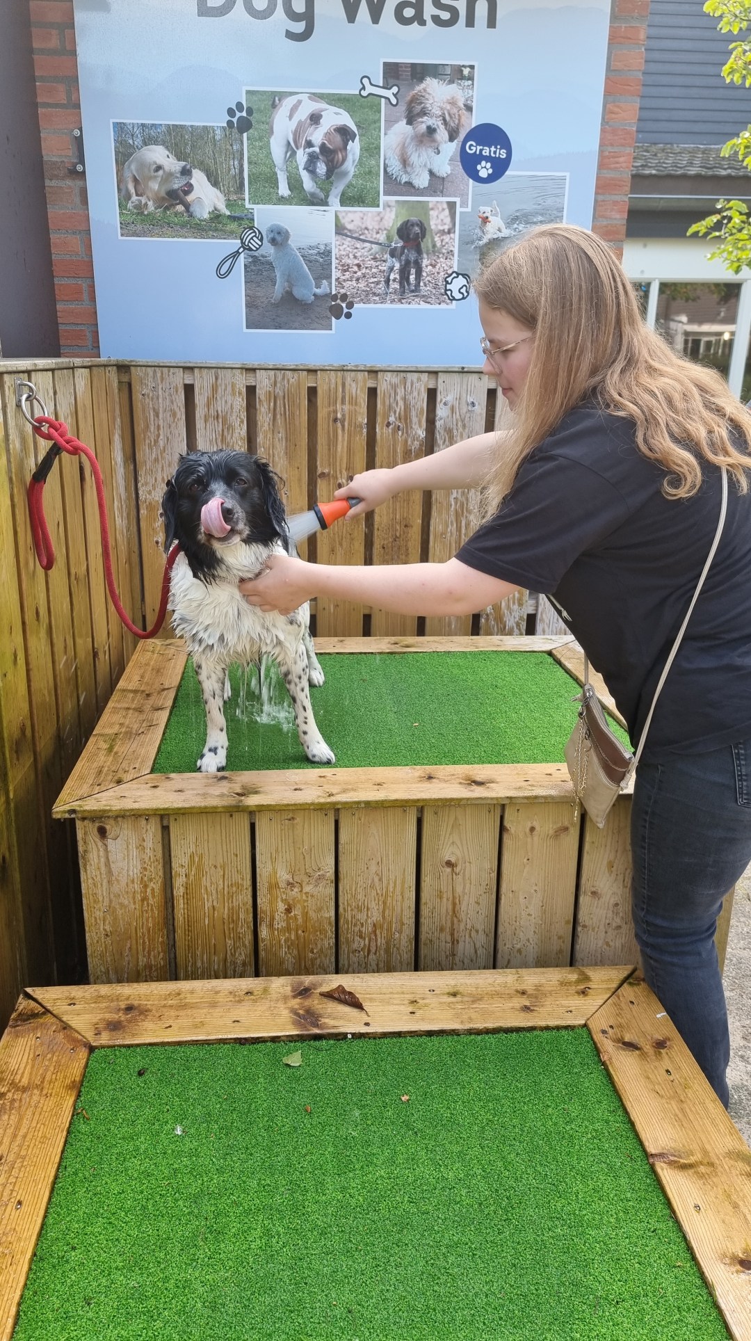 landal twenhaarsveld