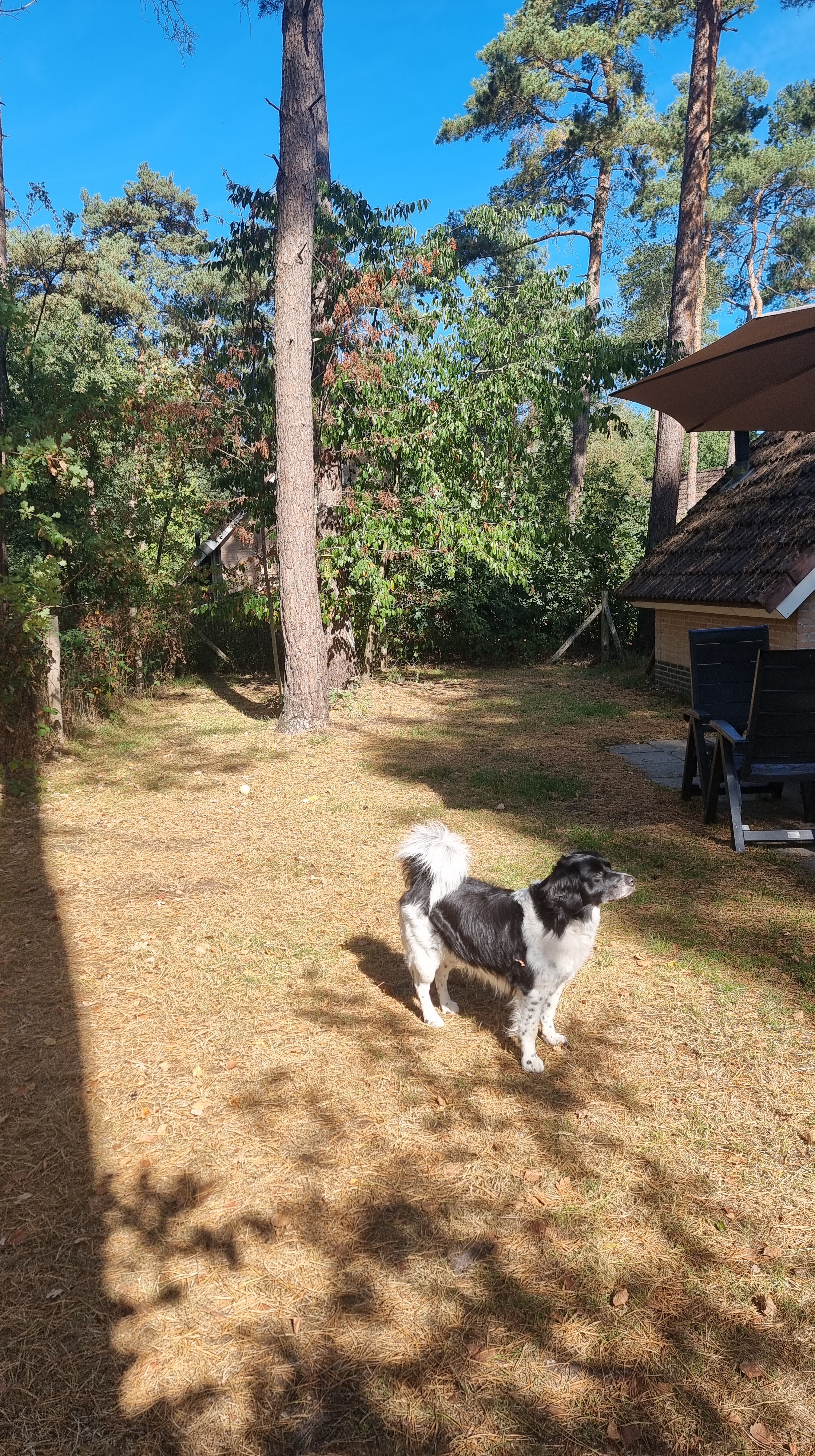 landal twenhaarsveld