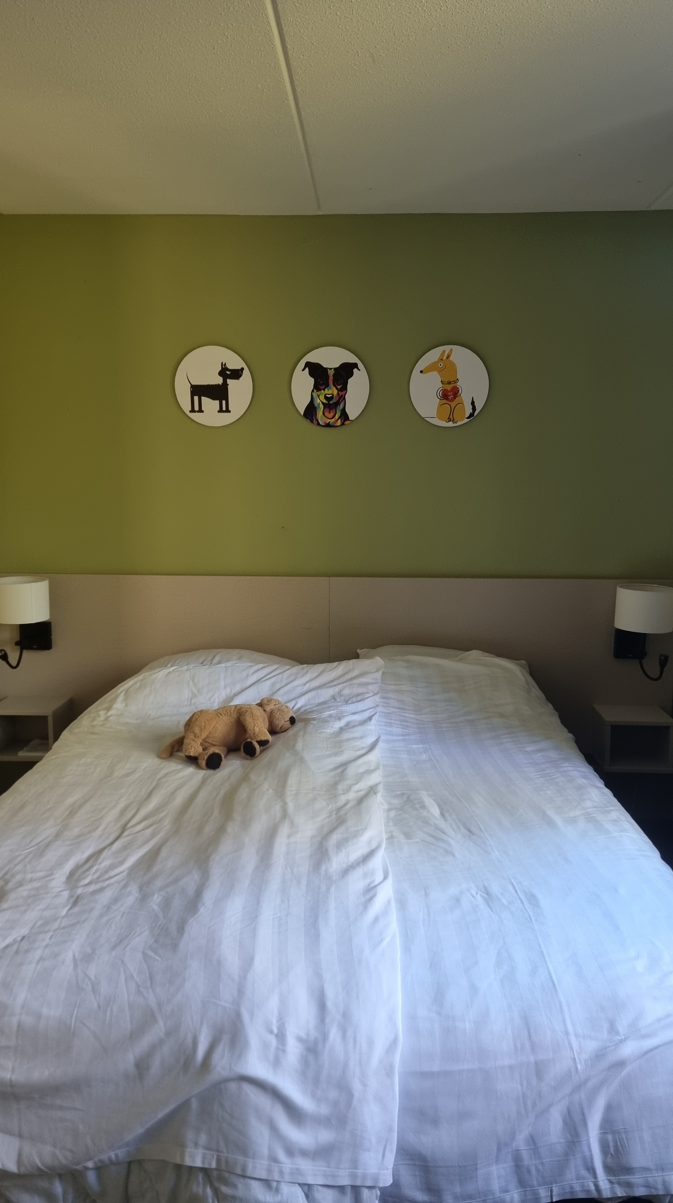 landal twenhaarsveld