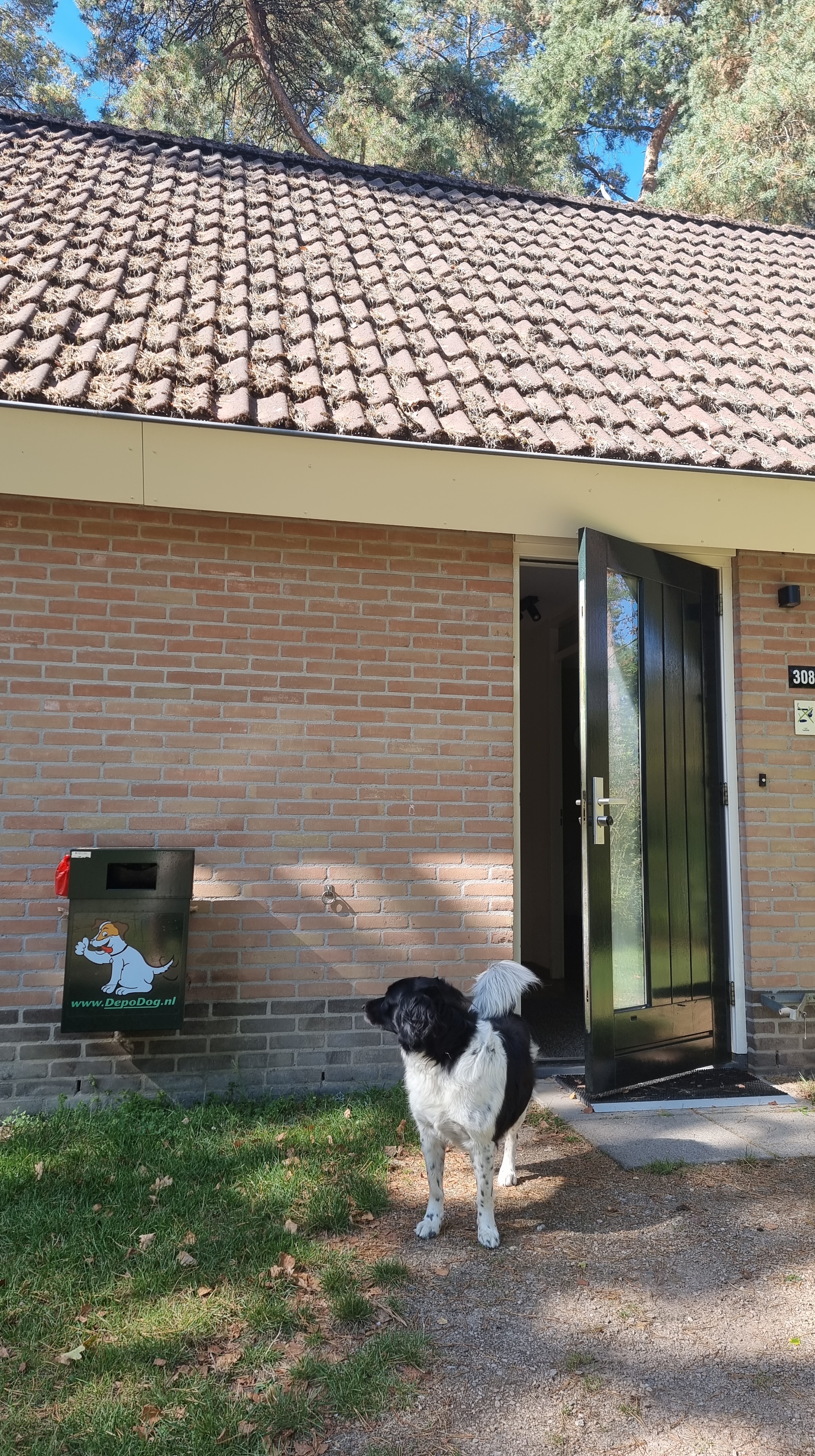 landal twenhaarsveld