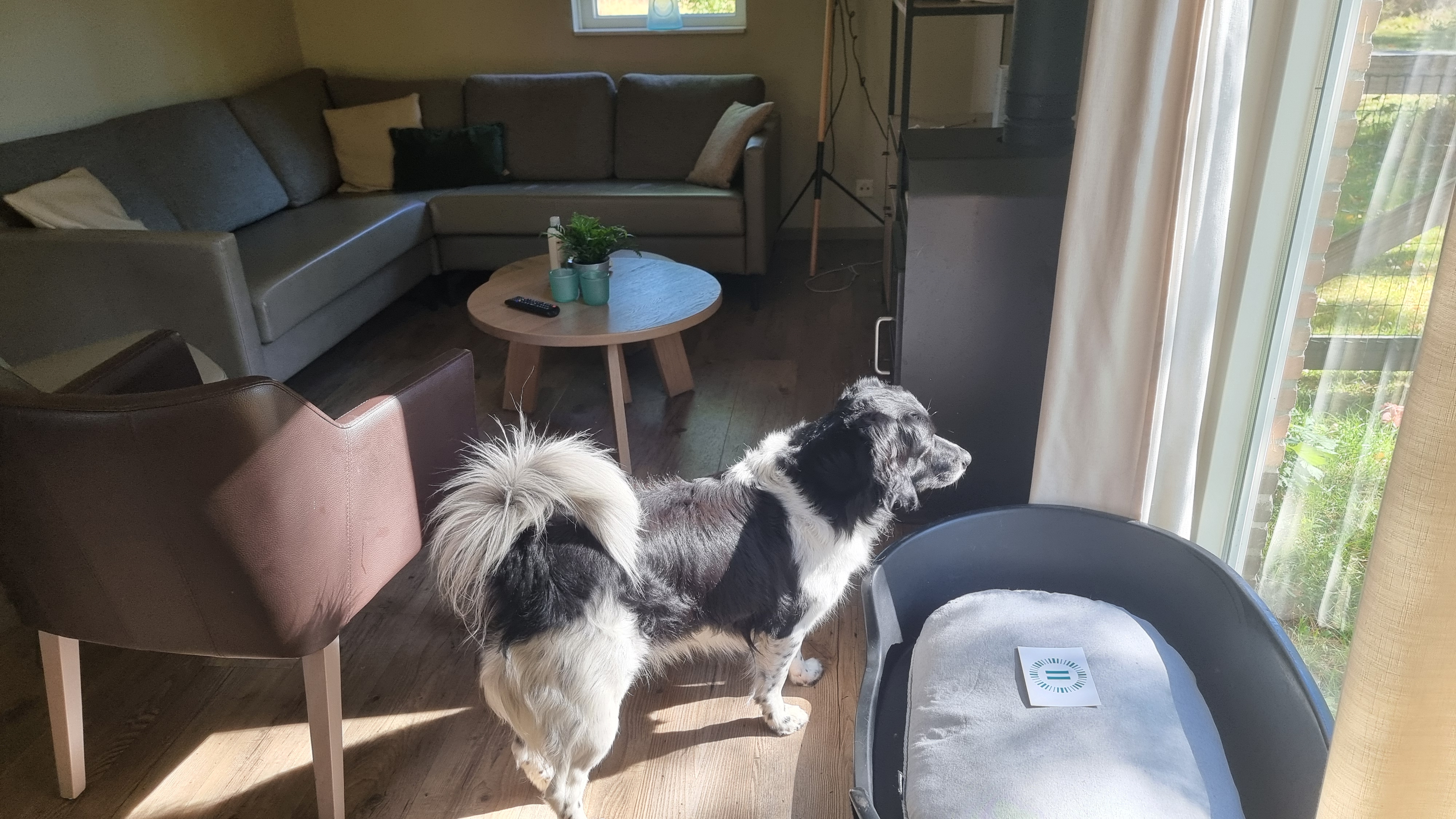 landal twenhaarsveld