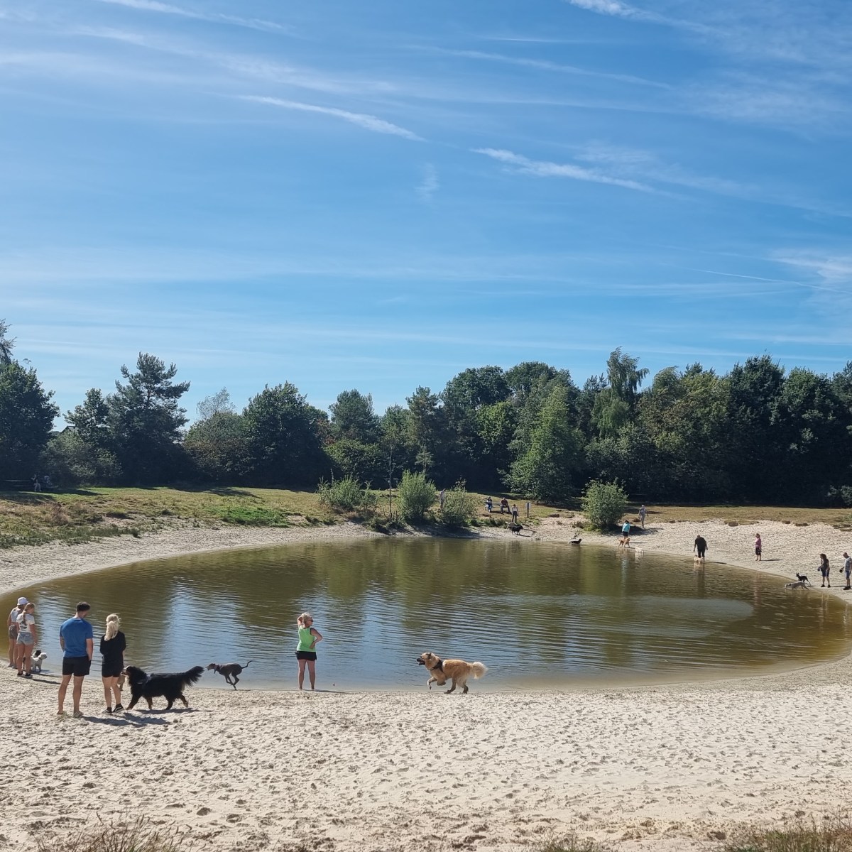 Twenhaarsveld – het hondenvakantiepark