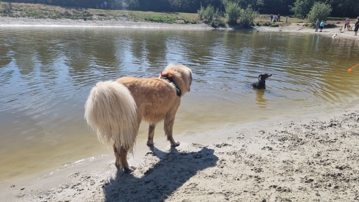 landal twenhaarsveld