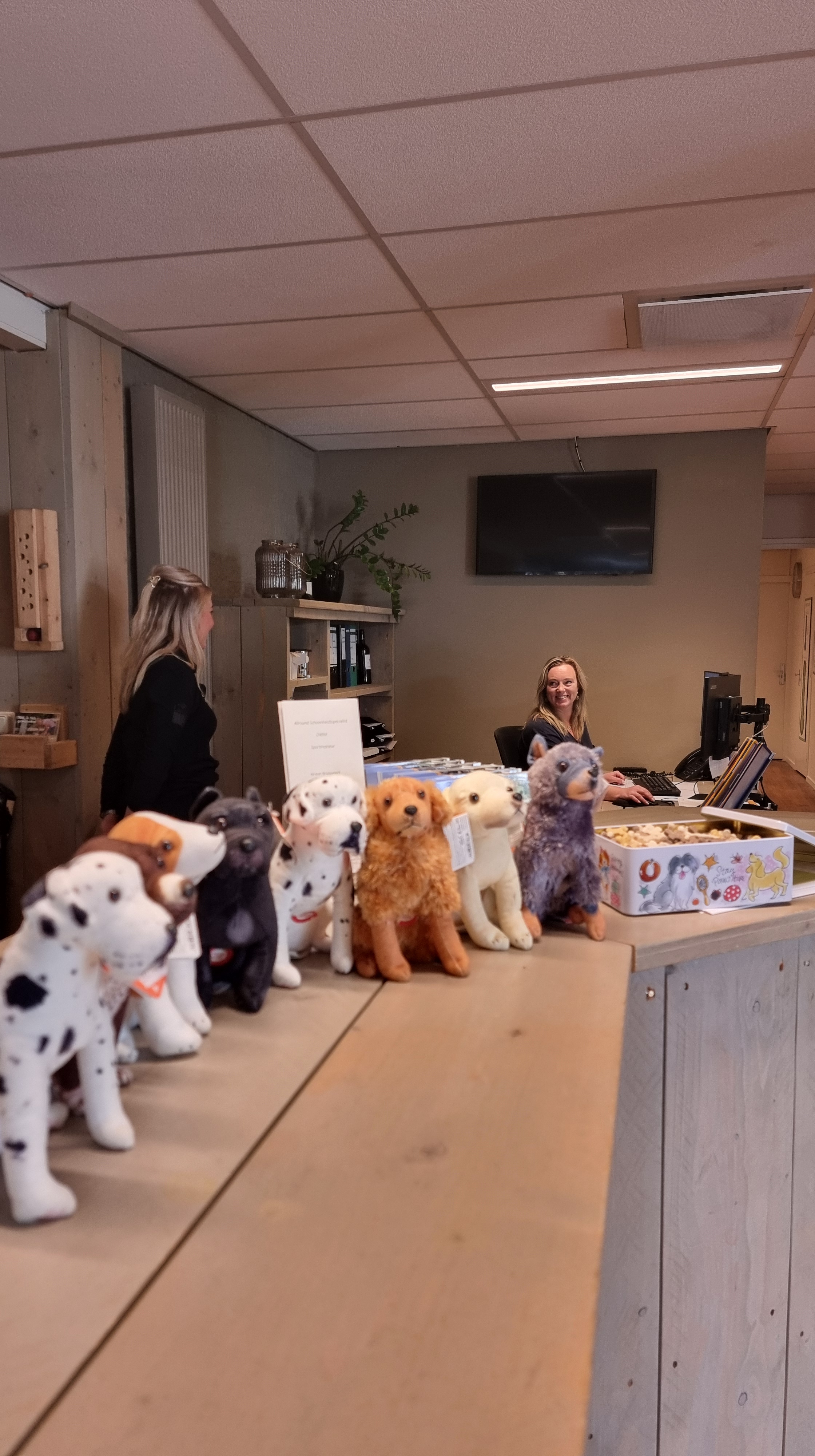 landal twenhaarsveld