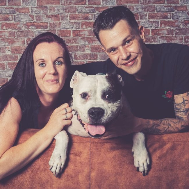 honden en roedeltraining