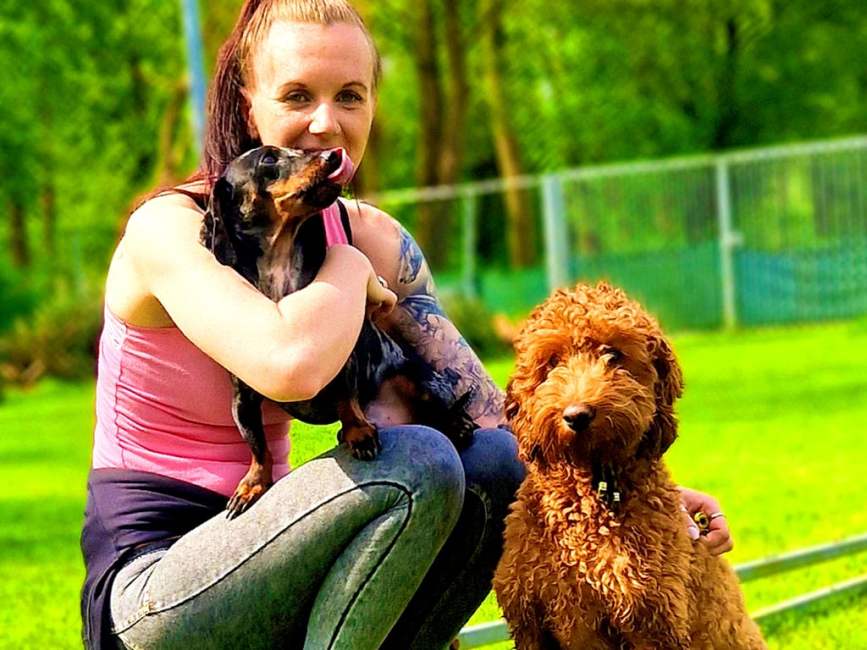 honden en roedeltraining