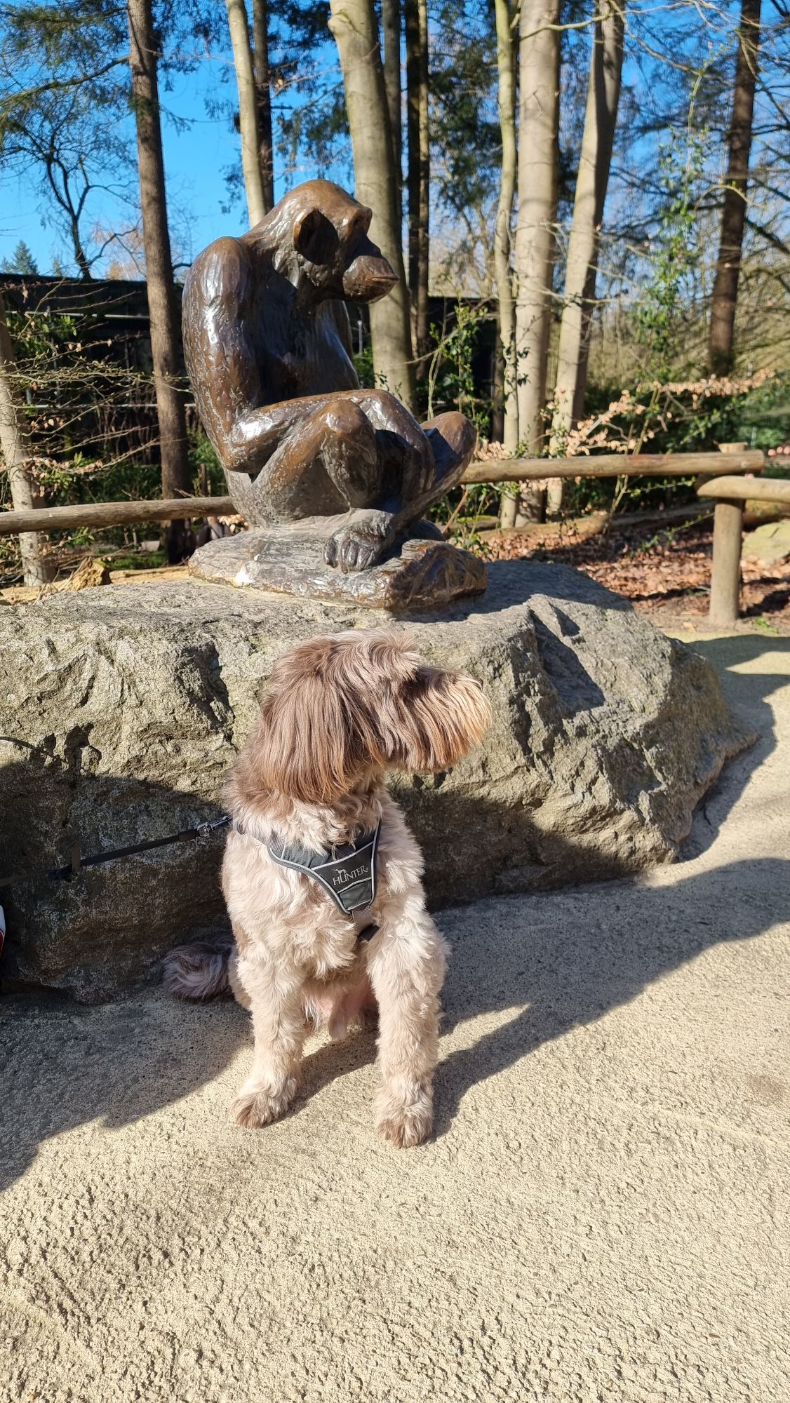 hond in dierenpark Amersfoort